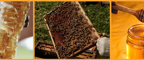 Finom, édes, egészséges!